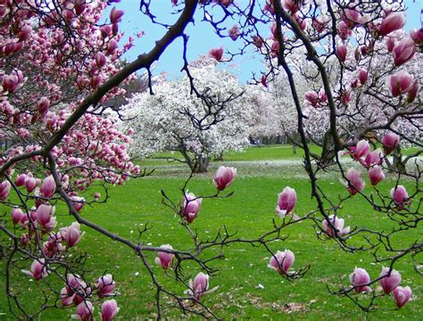 HD Spring Scenes Wallpapers - Wallpaper Cave