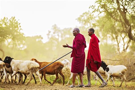 Cross border disease outbreak simulation exercise reinforces preparedness in East Africa