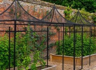 Steel Fruit Cages - Harrod Horticultural