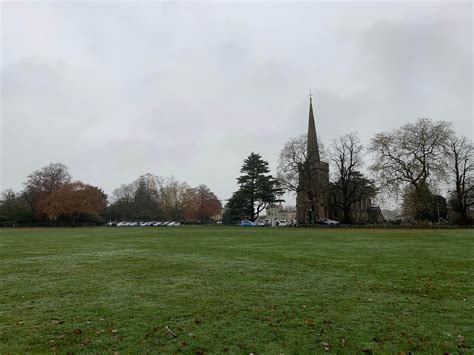 Frenchay Common - Bristol dog walk - Bristol Barkers