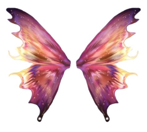 Wings Transparent Background Fairy Wings Png Image Transparent | Images and Photos finder