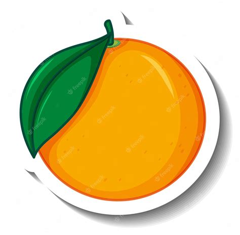 fruit oranges - Clip Art Library