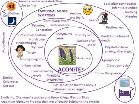 ACONITE | GRAPHIC HOMEOPATHY | Homeopathy, Homeopathy medicine ...