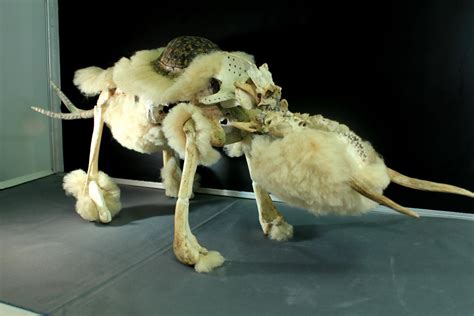 Bone Sculpture 4 by ImageStabilized on DeviantArt