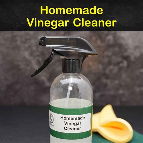 11+ of the Best Homemade Vinegar Cleaners