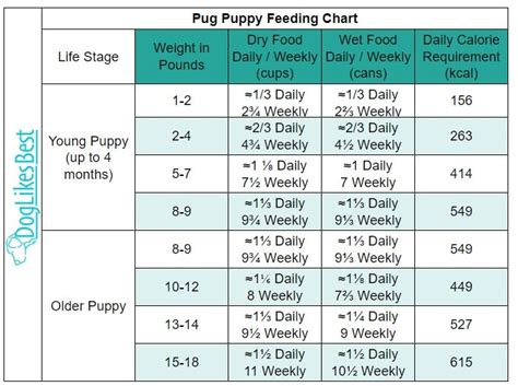 How Much Should a Pug Eat? Pug Feeding Chart! | DogLikesBest