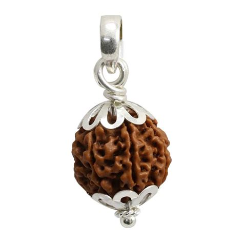 Buy Abhimantrit 7 Mukhi Rudraksha Original for Astrology Online ...