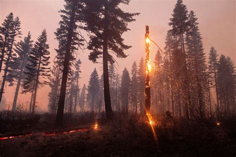 Experts Say Drought, Wildfire Risk to Persist Across Much of US This Fall