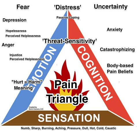 Vital Sign Assessment