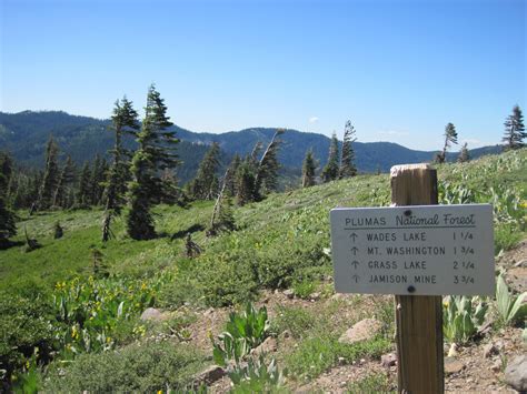 Plumas National Forest along the Pacific Crest Trail | Pacific crest trail, Lassen volcanic ...