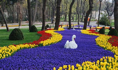 design-dautore: THE ISTANBUL TULIP FESTIVAL