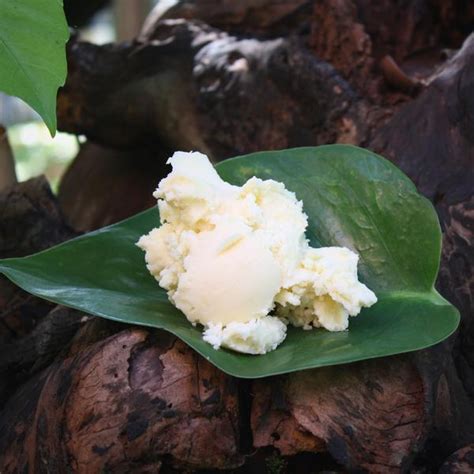 Cupuacu Butter - From Brazil 100% pure, unrefined, wild harvested ...