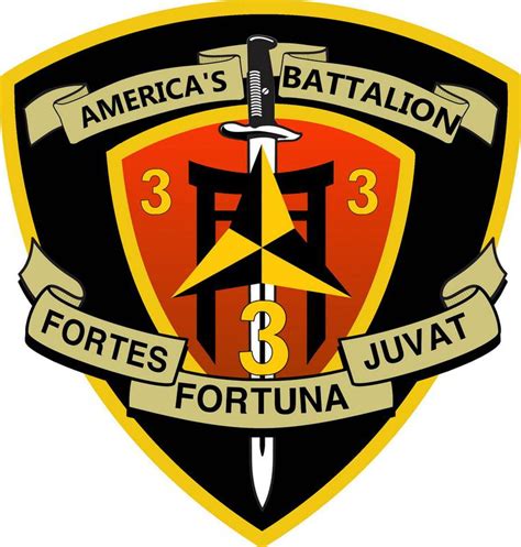 3rd Battalion, 3rd Marines - Wikipedia