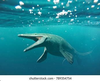 Mosasaurus Size