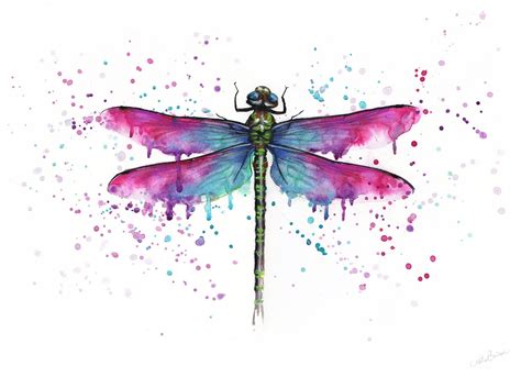 DRAGONFLY acuarela pintura ilustración original o impresión acuarela ...