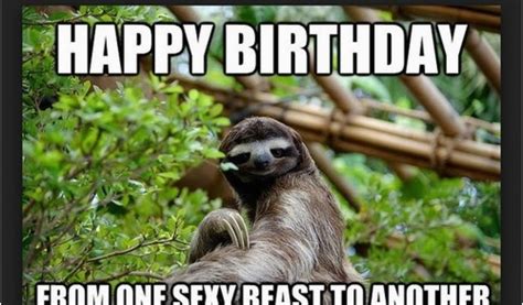 funny happy birthday sloth memes – Happy Birthday Memes