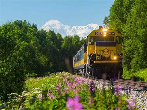 Alaska Train Tours with Denali Icebergs & Bears