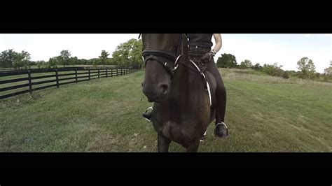 Aerial Video of Horse Farm - YouTube