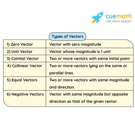 What Is Vectors - vrogue.co