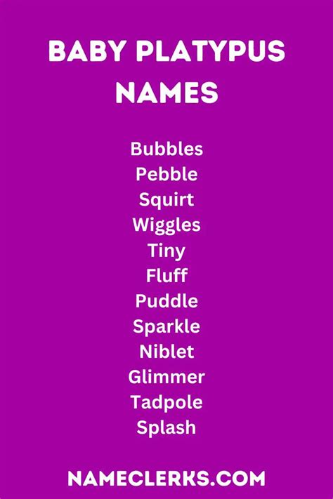 Platypus Names (450+ Picks for Cute, Cool, and Creative Monikers)