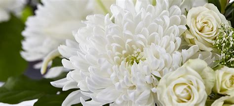 Classic Ivory – A Florist Original