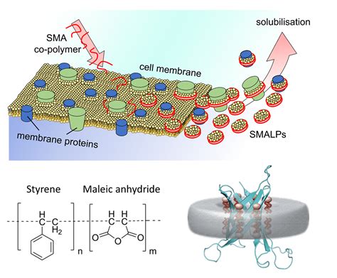 Controlling Styrene Maleic Acid Lipid Particles Through, 40% OFF