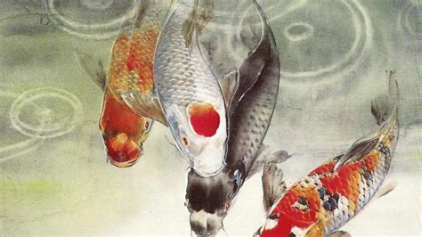 Japanese Koi Fish Wallpapers - Top Free Japanese Koi Fish Backgrounds - WallpaperAccess