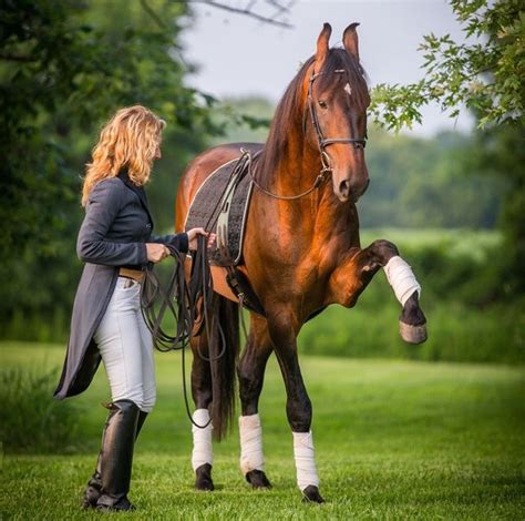 International horse trainer hosts advanced clinics for equestrians - nj.com