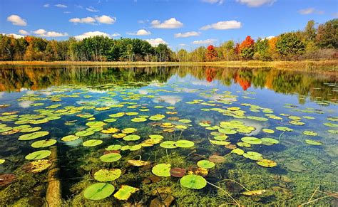 HD wallpaper: Beautiful Lake Scenery, Autumn, body of water, Nature ...