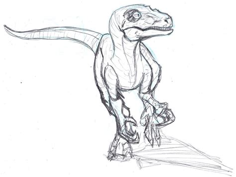 velociraptor drawing - Google Search | Dibujos detallados, Dibujo de dinosaurio, Bocetos de animales