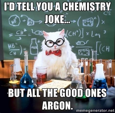 Organic Chemistry Cat Meme