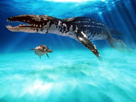 Liopleurodon Pictures & Facts - The Dinosaur Database