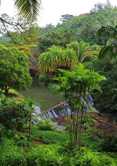 National Tropical Botanical Garden - National Tropical Botanical Garden