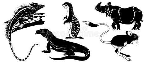 Animal Silhouettes Set Isolited on White. Basilisk Lizard, Ground Squirrel, Komodo Waran, Jerboa ...