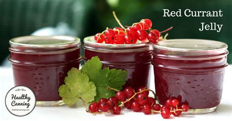 Red Currant Jelly - Healthy Canning in Partnership with Facebook Group Canning for beginners ...