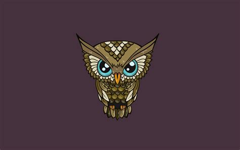 [200+] Owl Wallpapers | Wallpapers.com