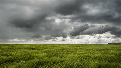 HD wallpaper: landscape photography of green field under blue sky ...