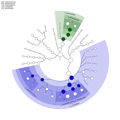 Whole-genome Shotgun Metagenomics Sequencing Data Analysis