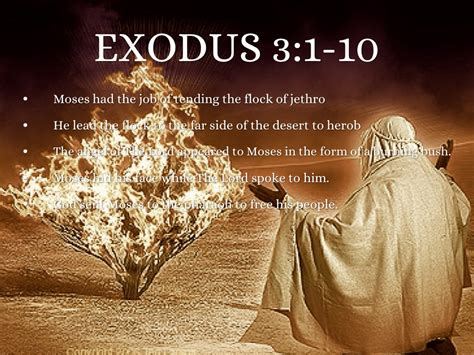 Exodus by Megan Medlin