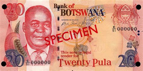 RealBanknotes.com > Botswana p25s: 20 Pula from 2002