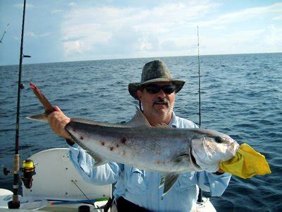 San Jose del Cabo Fish Report