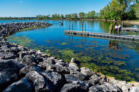 DVIDS - News - Fighting the aquatic invasion at Mosquito Creek Lake ...