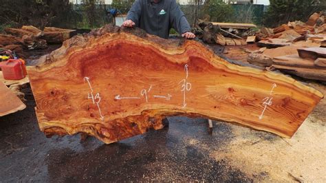 Redwood Burl Slabs 5 – Redwood Burl Inc.