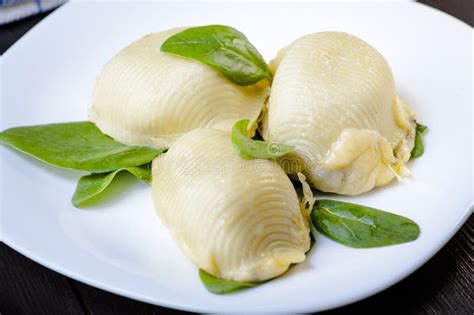 Pasta snail shells stock photo. Image of meal, tomato - 64812312