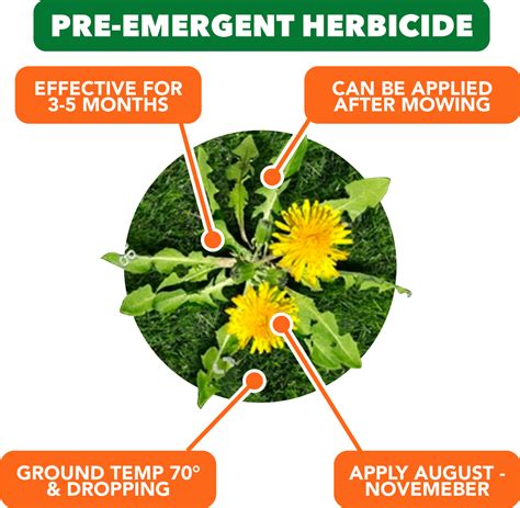 How To Apply Pre-Emergent Herbicide For The Best Results