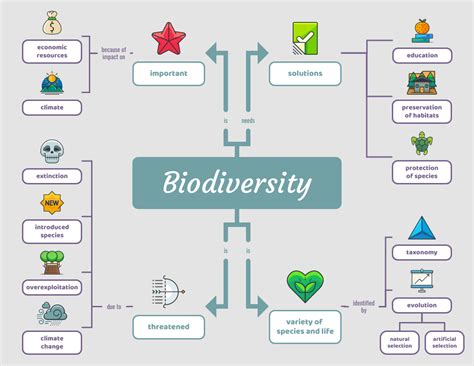 Mapa Conceptual De Biología De La Biodiversidad Ligera - Venngage