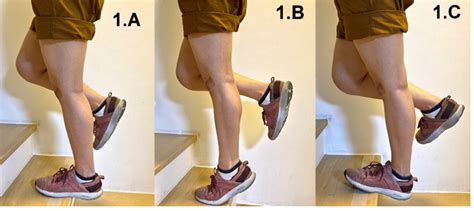 Eccentric exercise with the knee extended. In the starting position ...