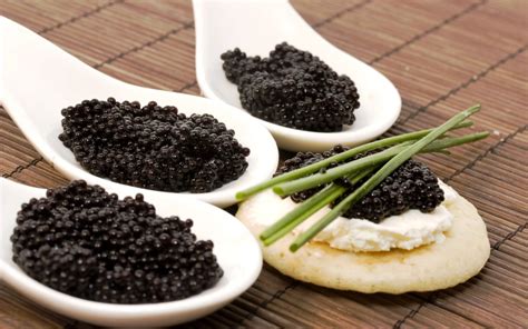 Food Caviar HD Wallpaper