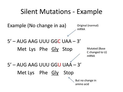 PPT - Mutations and Gel Electrophoresis PowerPoint Presentation - ID:5717768