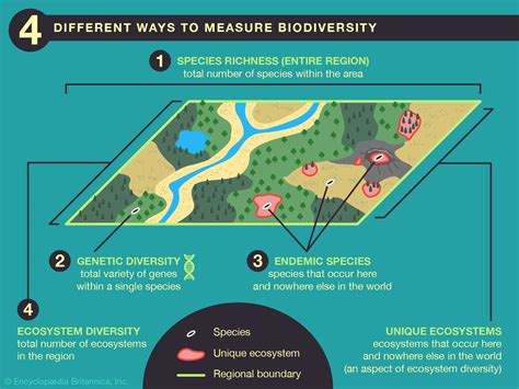 Biodiversity | Definition & Facts | Britannica